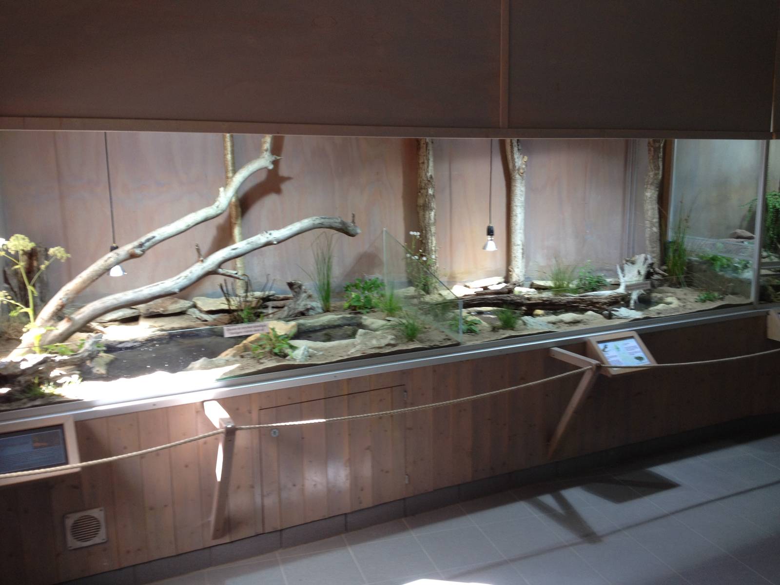 The Wetland - Building