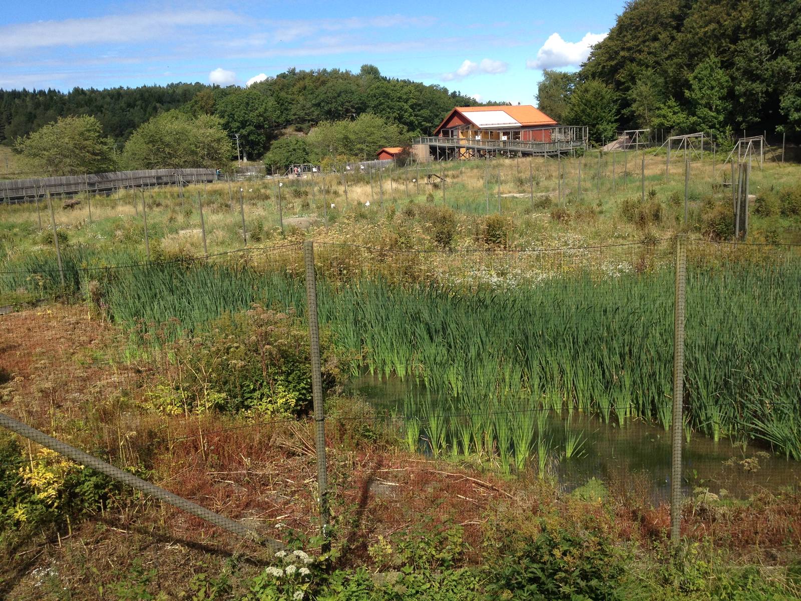 The Wetland - Crane field