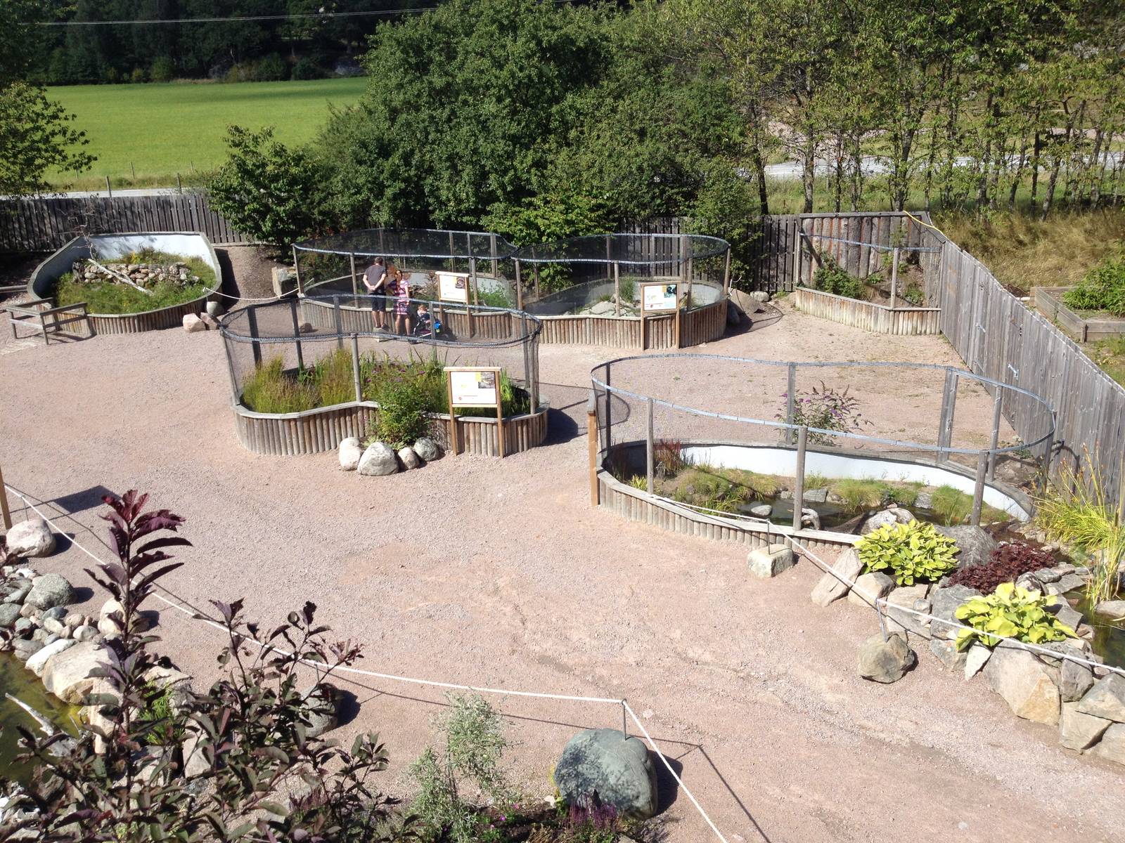 The Wetland - Outdoor exhibits