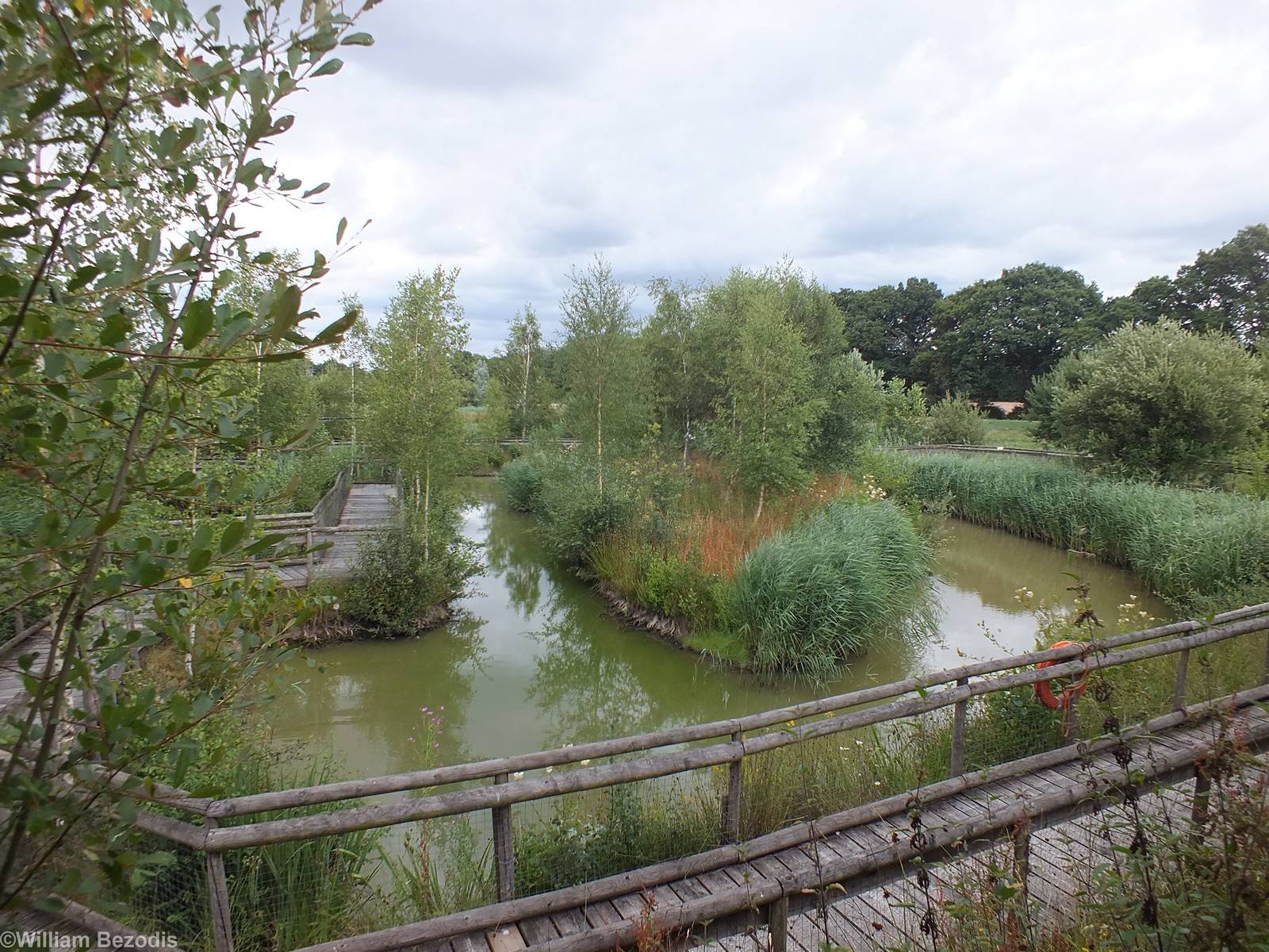 The Wetlands Nature Reserve