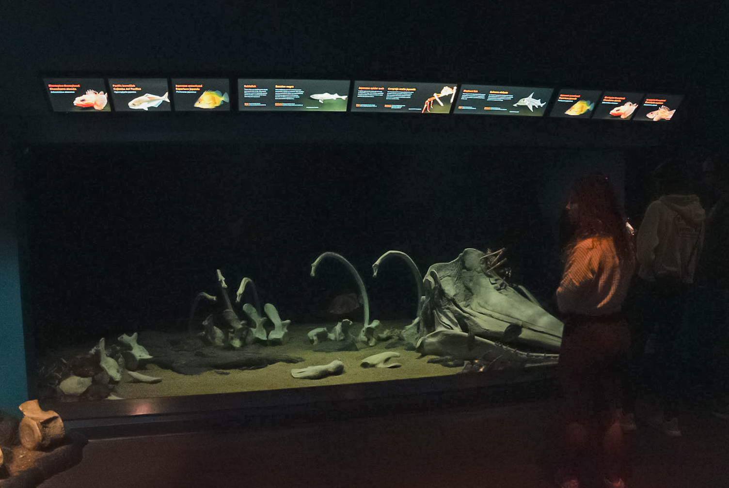 "The Whalefall" Tank (Into the Deep)