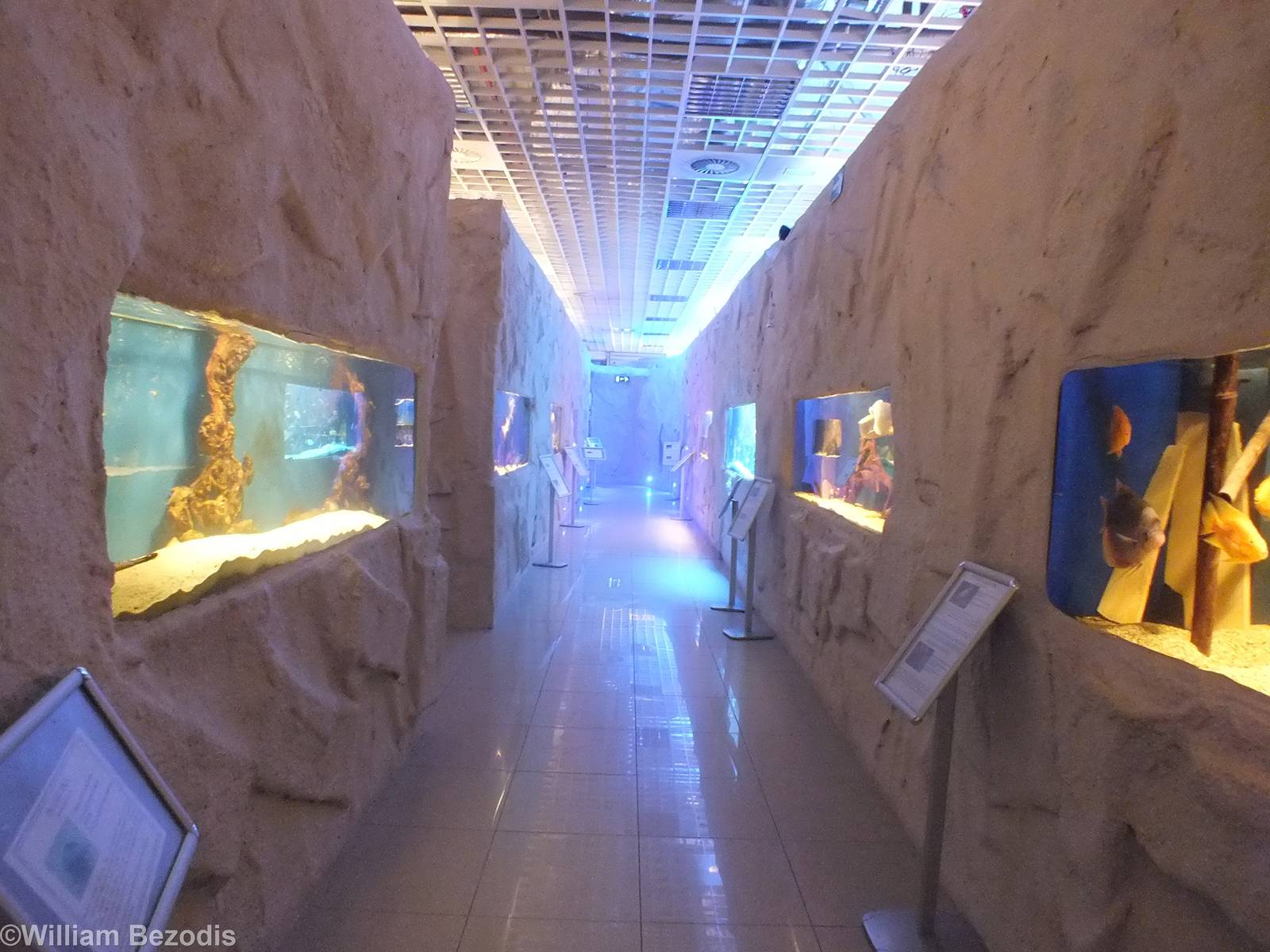 The Whole of the Freshwater Section