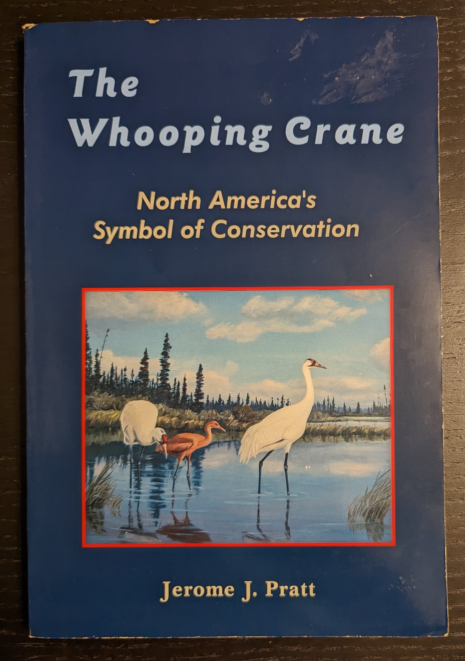 The Whooping Crane: North America's Symbol of Conservation