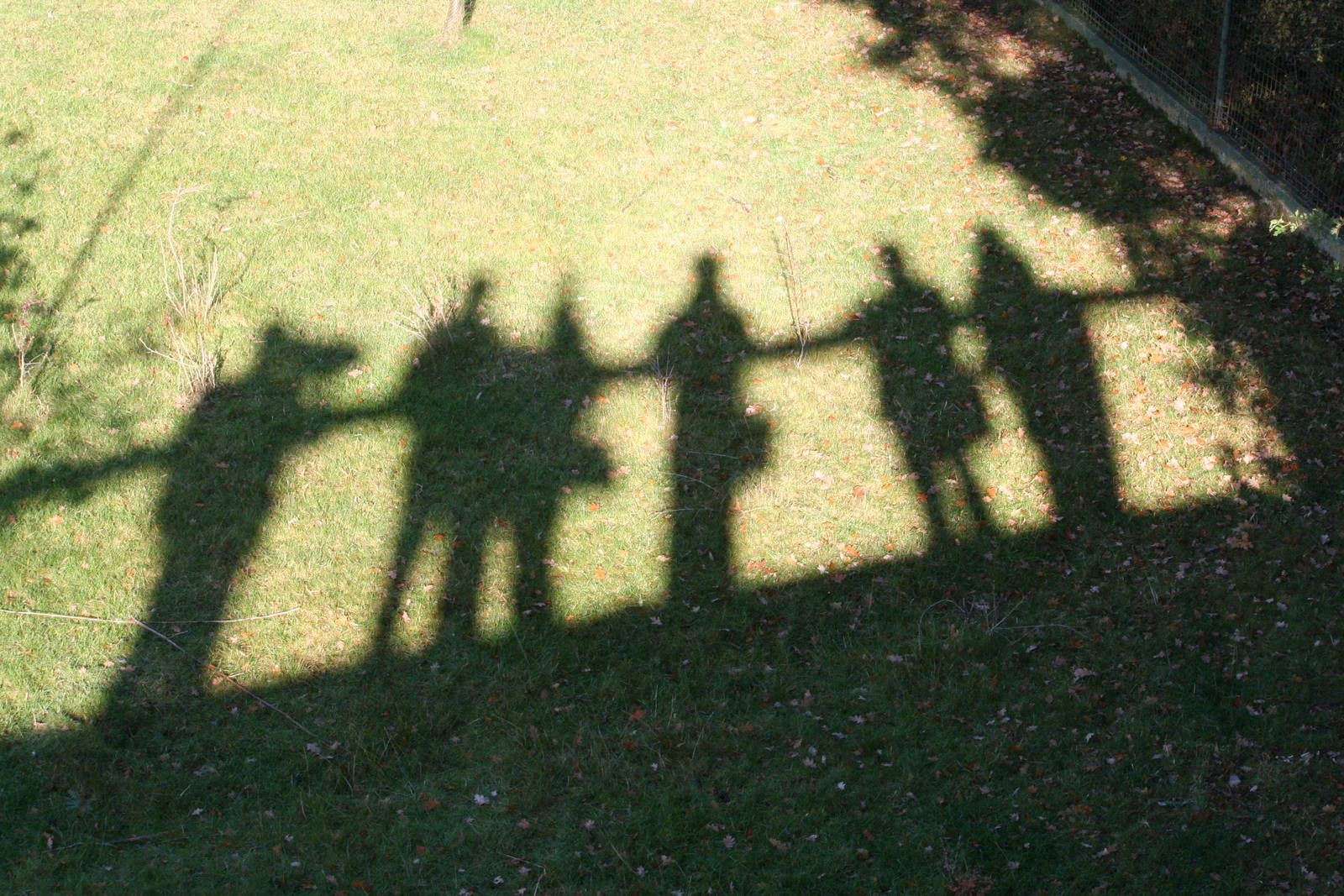 The who's who of zoochat shadows