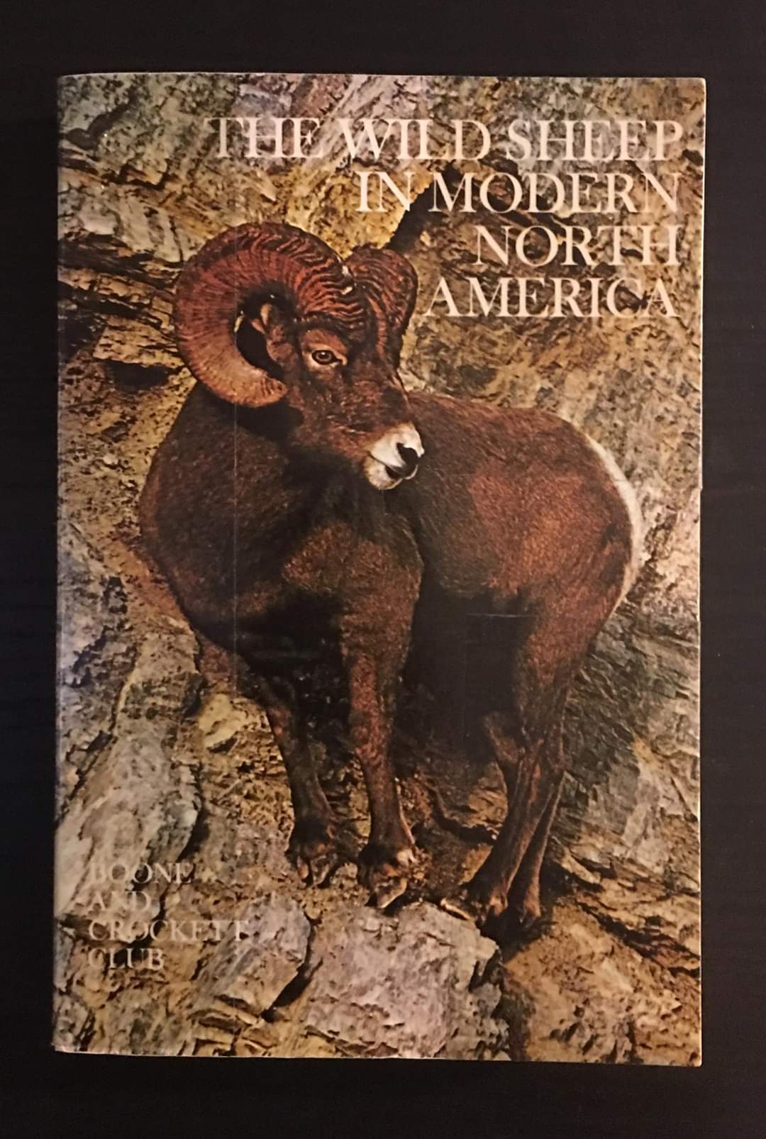 The Wild Sheep in Modern North America