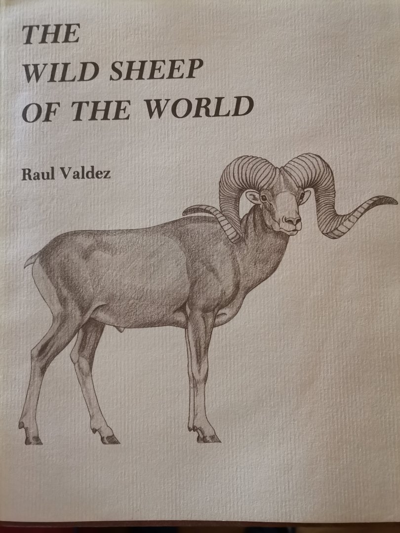 The Wild Sheep of the World by Raul Valdez
