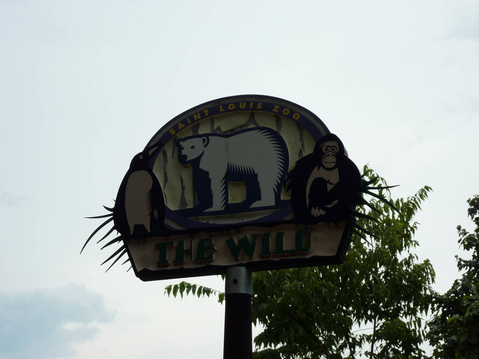 The Wild - Sign