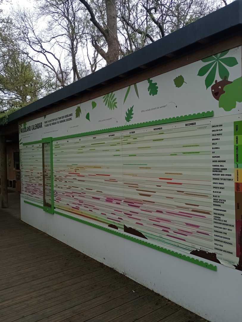 The wildlife calendar