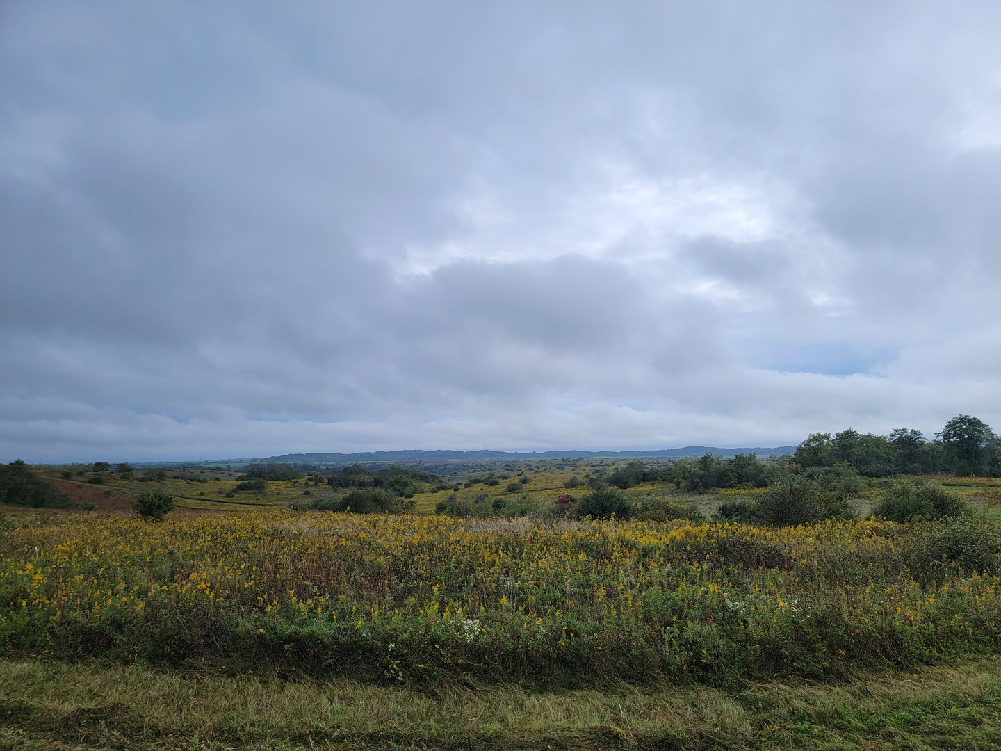 The Wilds - Butterfly habitat/horseback ride area