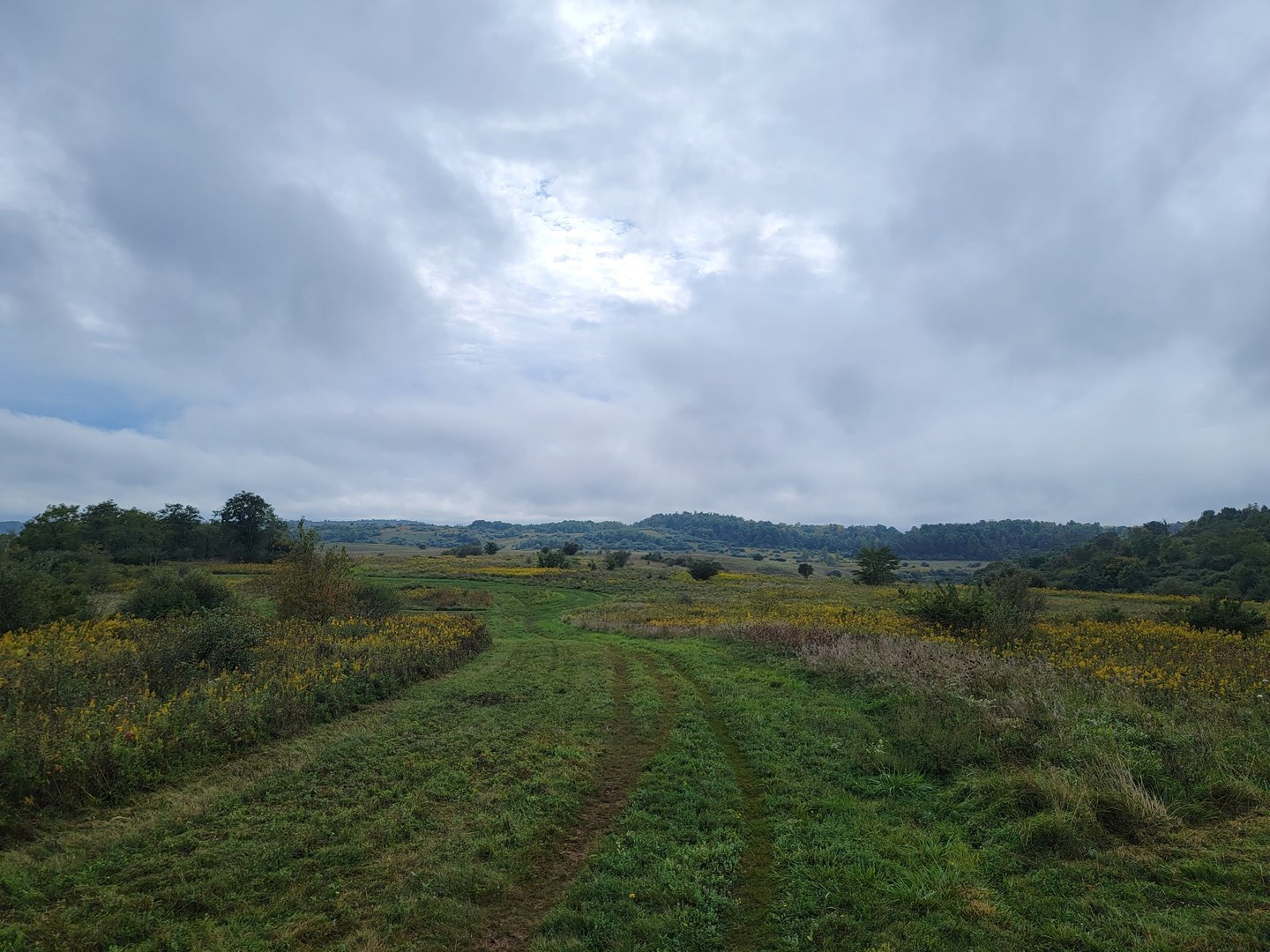 The Wilds - Butterfly habitat/horseback ride area