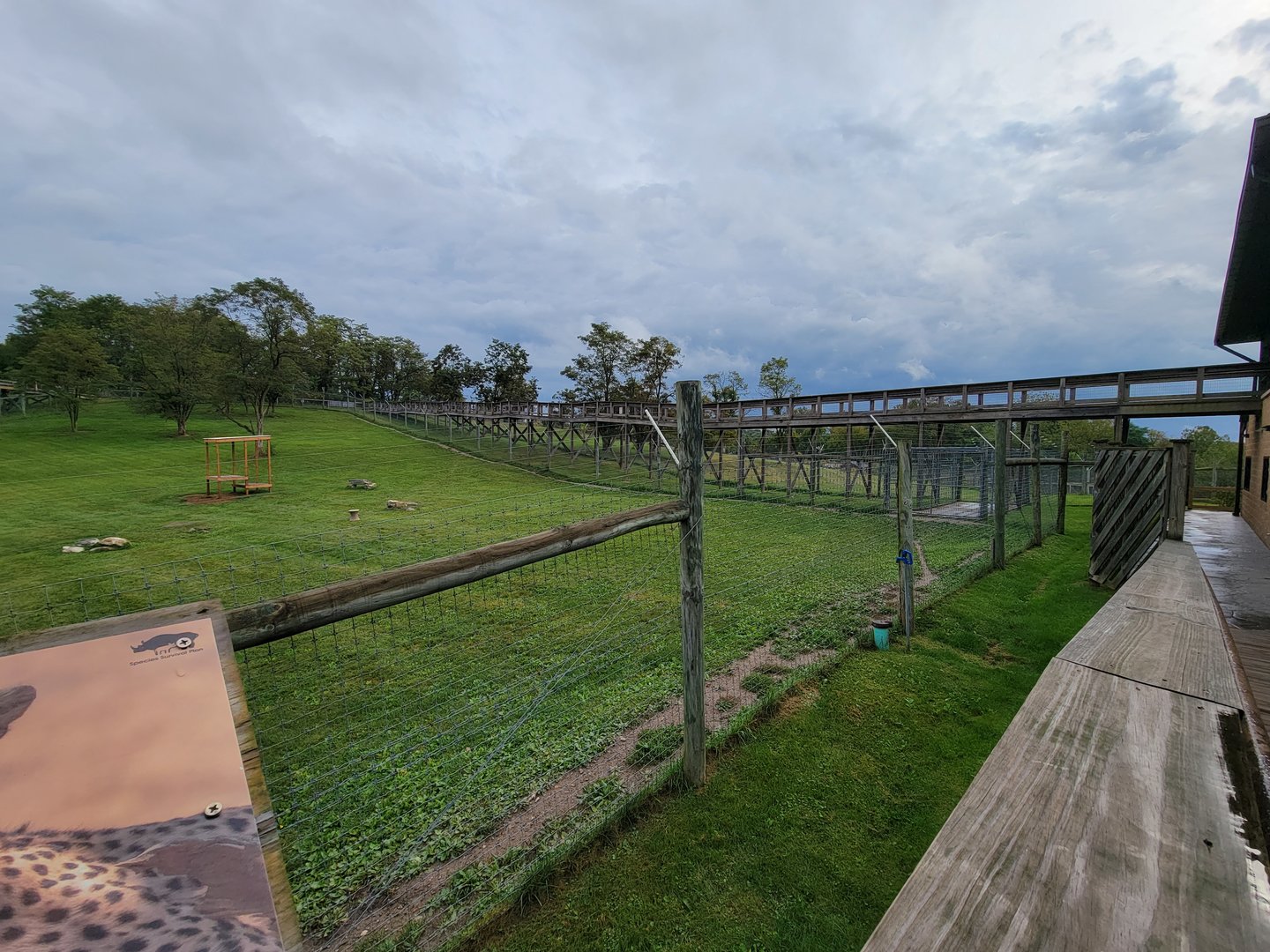 The Wilds - Cheetah yard #1, boardwalk to cheetahs