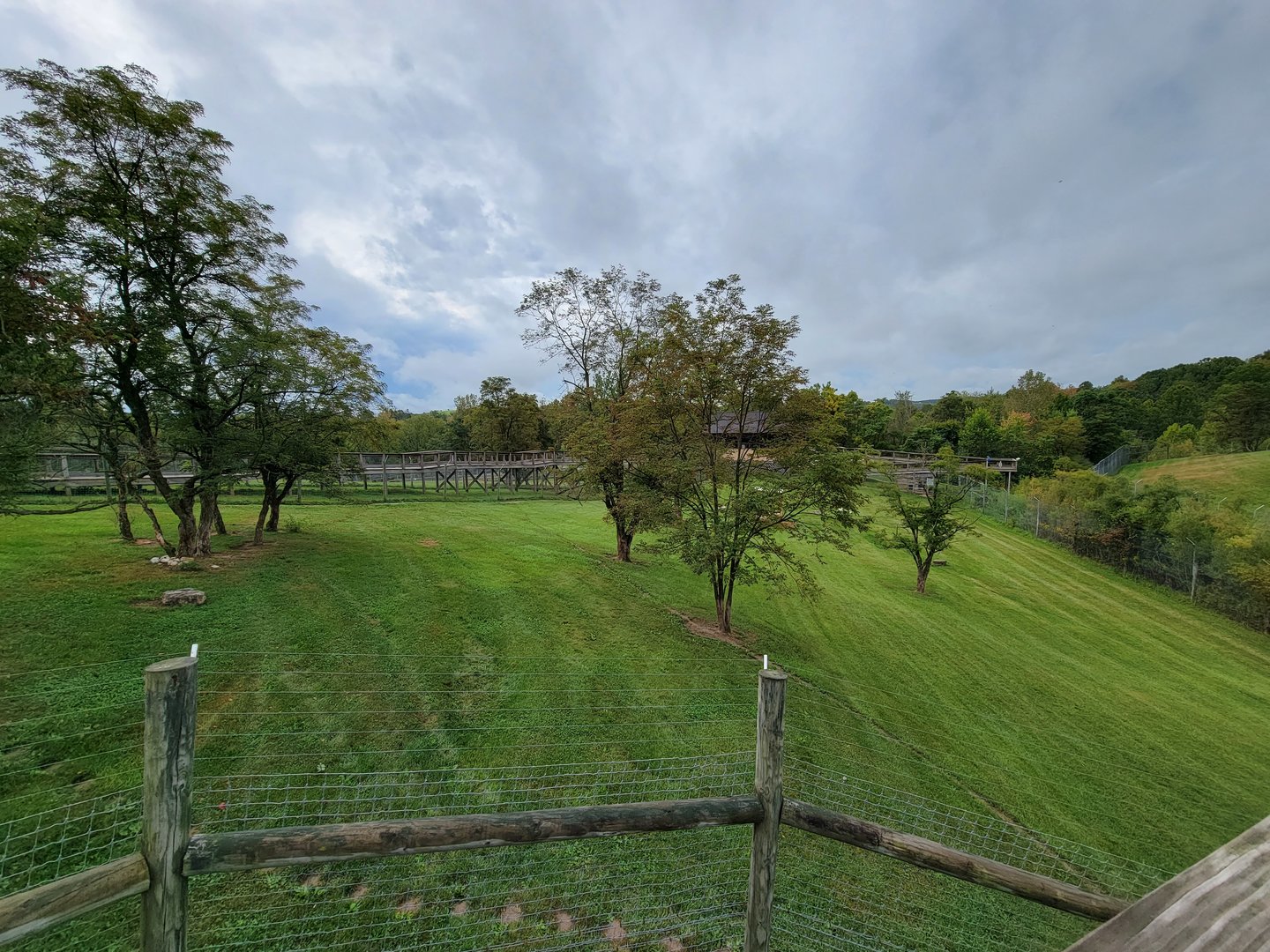 The Wilds - Cheetah yard #1 from the overlook