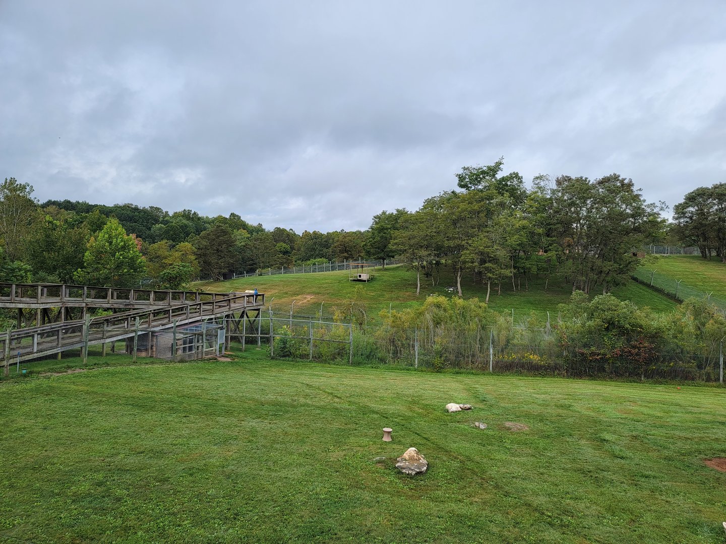 The Wilds - Cheetah yard #1, with Dhole yard #1 behind it