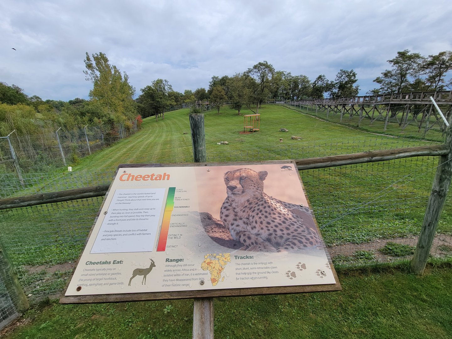 The Wilds - Cheetah yard #1