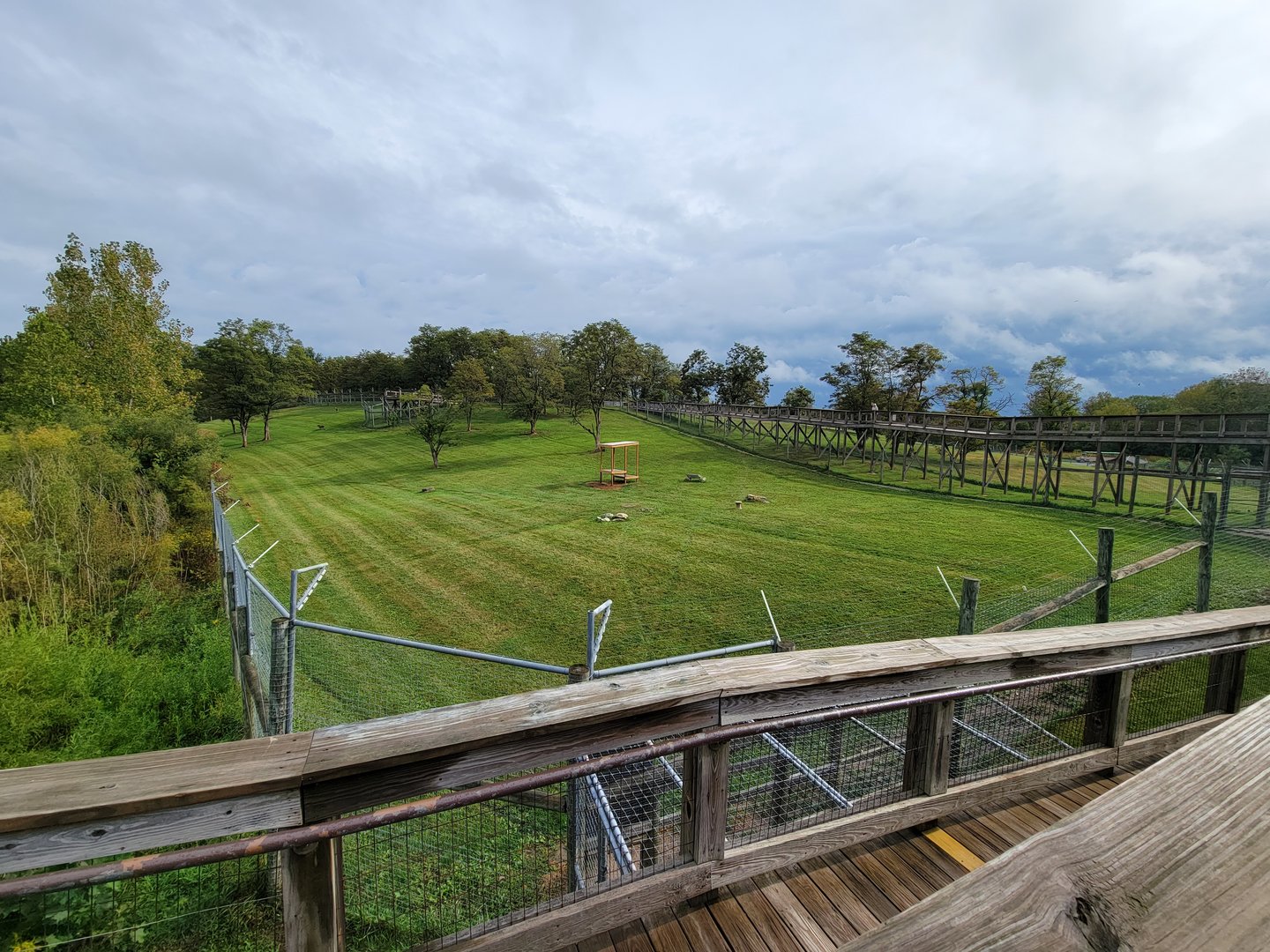 The Wilds - Cheetah yard #1