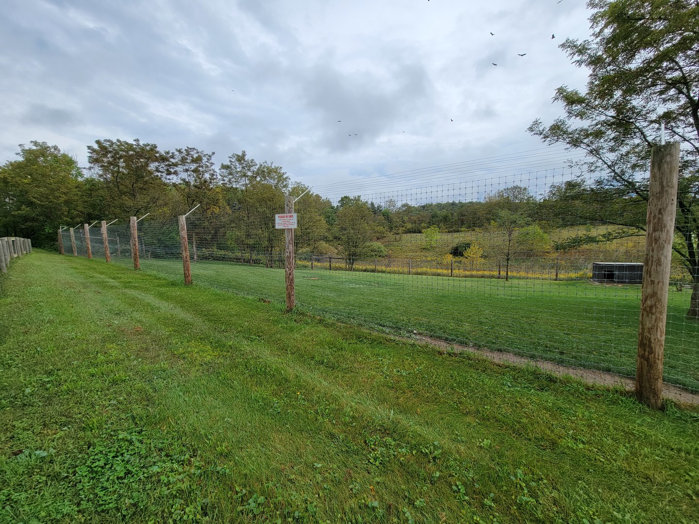 The Wilds - Cheetah yard #2, far end