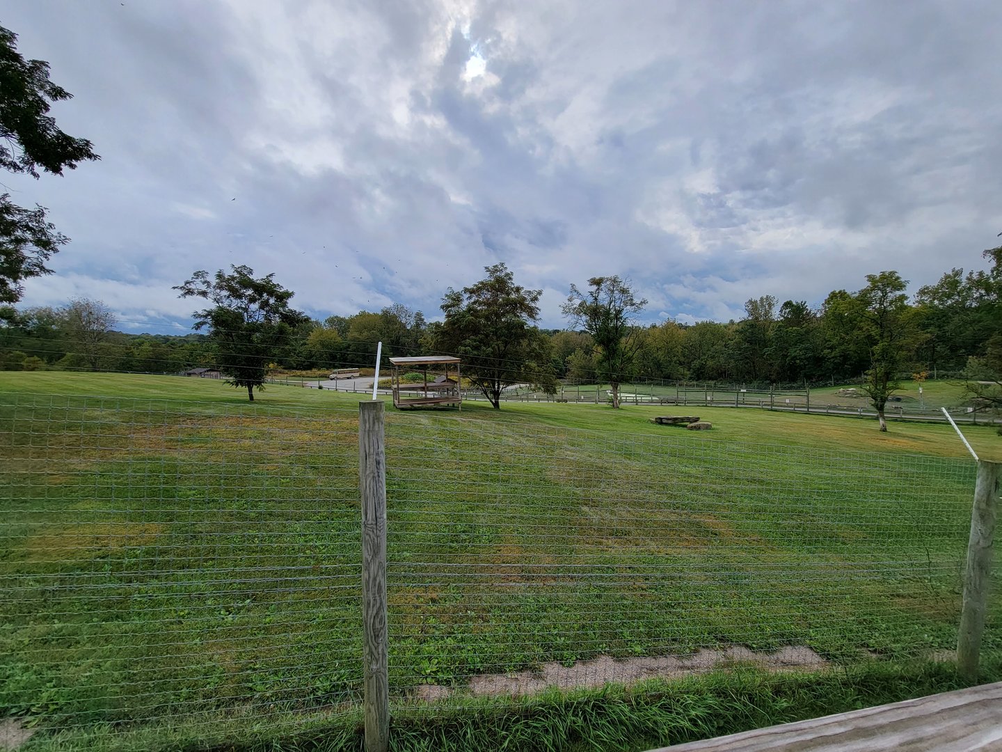 The Wilds - Cheetah yard #2