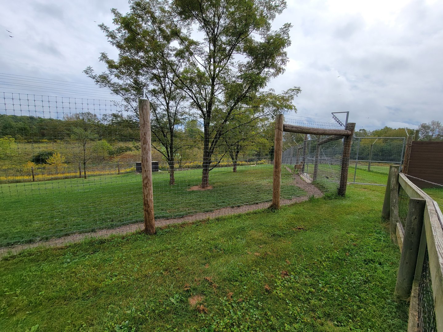 The Wilds - Cheetah yard #3