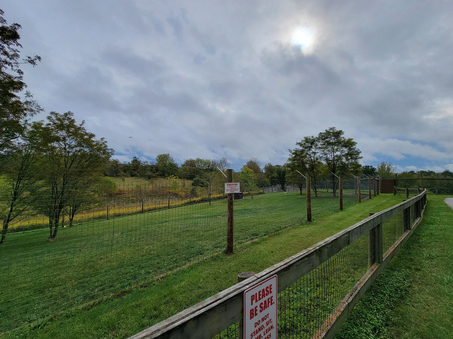 The Wilds - Cheetah yard #3