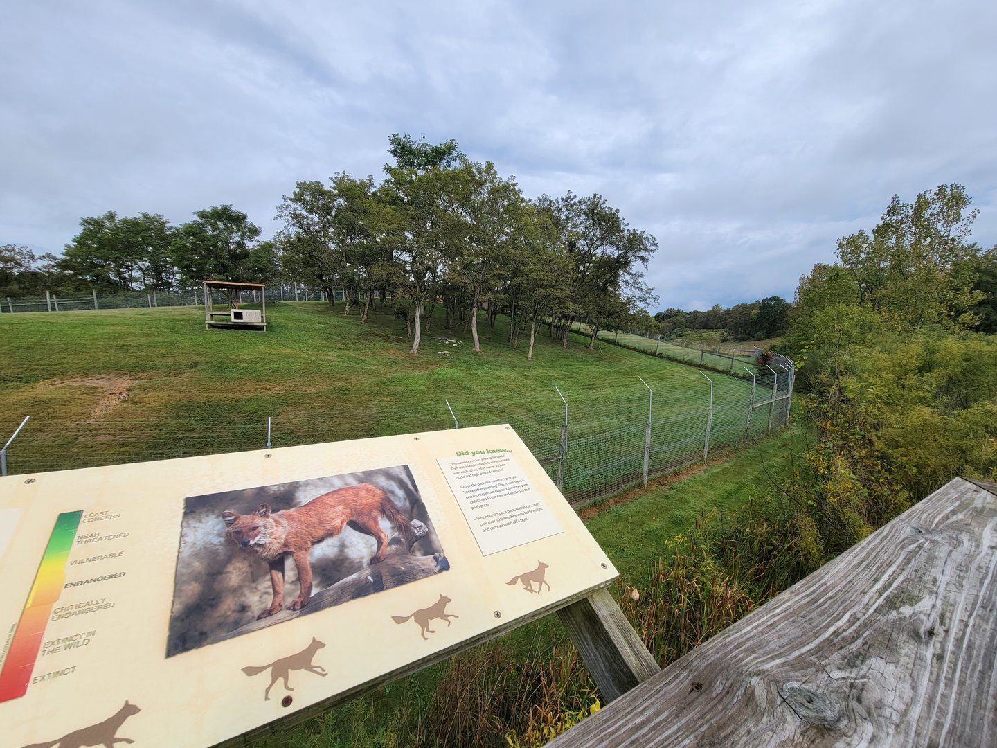The Wilds - Dhole yard #1, with #2 to the right and barely visible