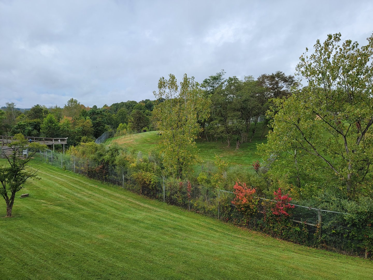 The Wilds - Dhole yard #1, with Cheetah yard #1 in foreground