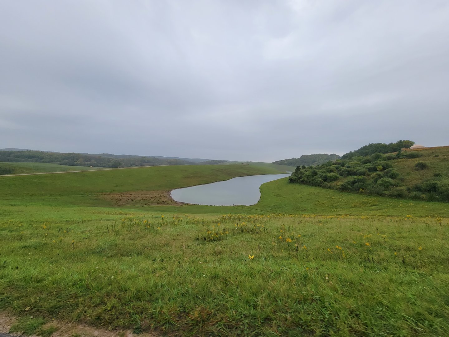 The Wilds - First pasture