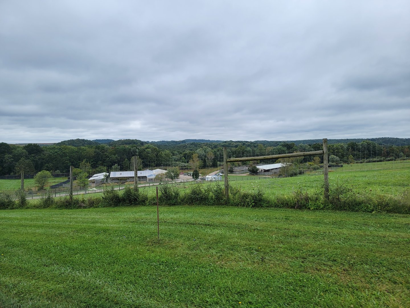 The Wilds - Hoofstock Management Center (mostly bachelor herds, didn't visit)