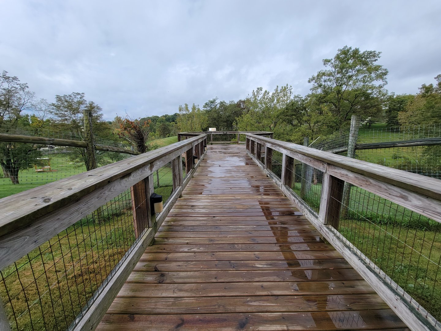 The Wilds - Overlook for Cheetah yard #1