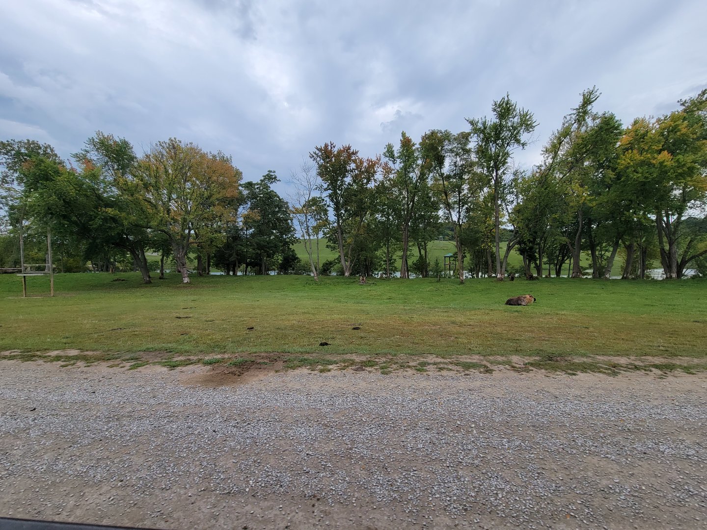 The Wilds - Sichuan takin