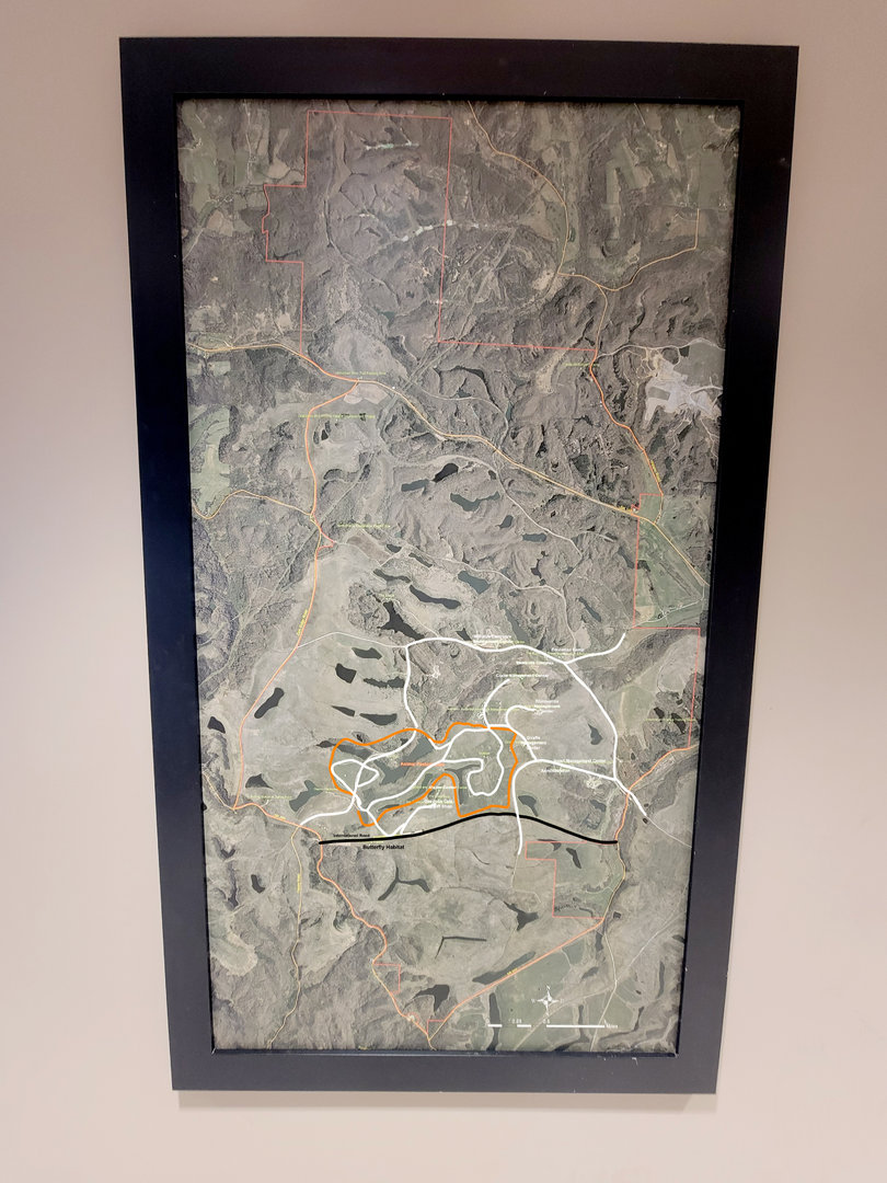 The Wilds - The only map in the place