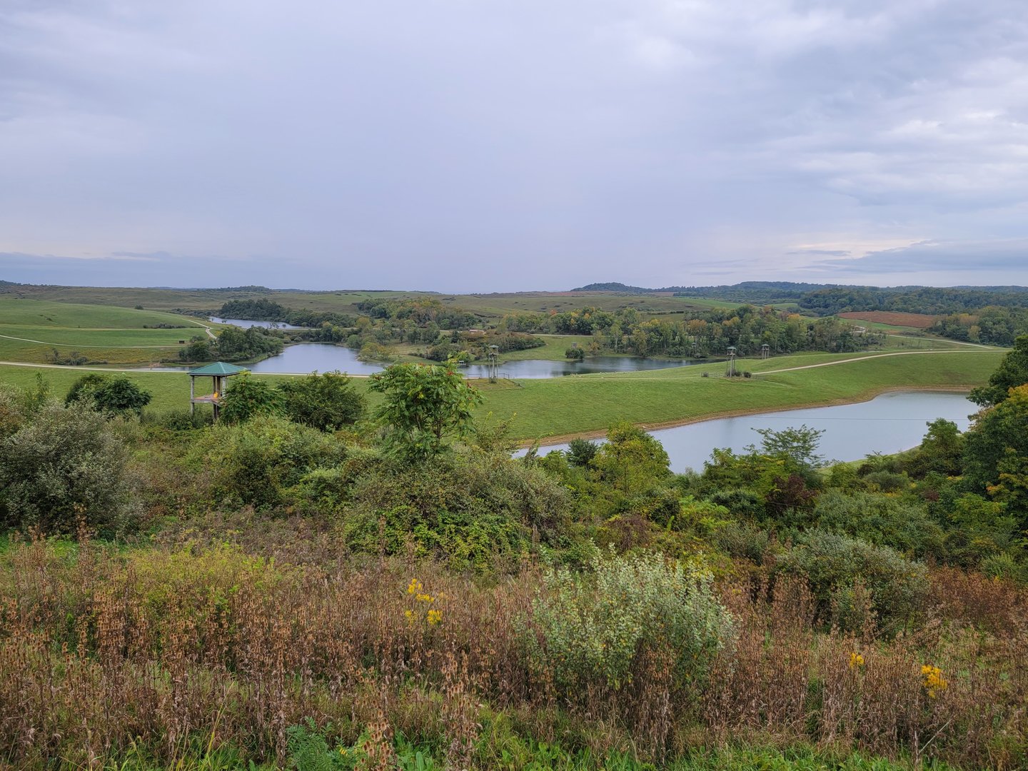 The Wilds - View from Overlook of Zipline course