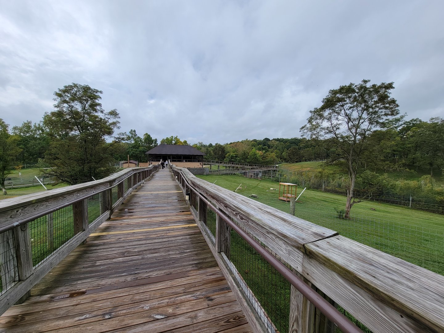 The Wilds - View of Terrace Grill, ramp from end of cheetah boardwalk