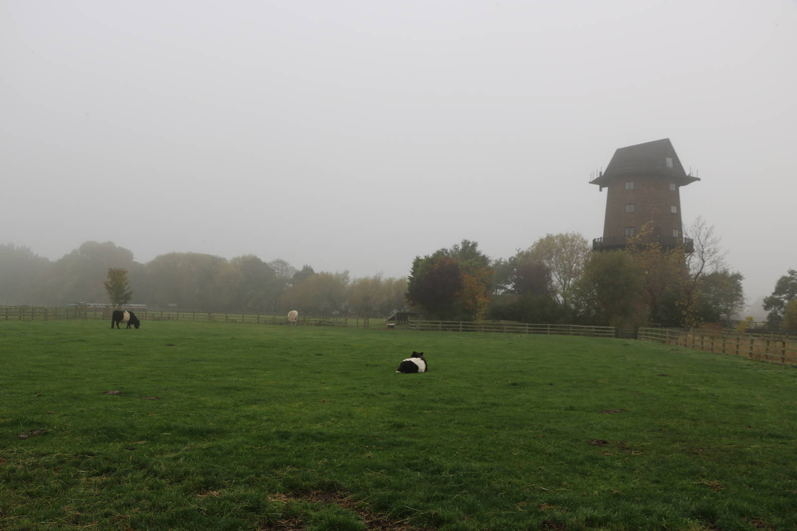 The windmill - Windmill Animal Farm, November 2015