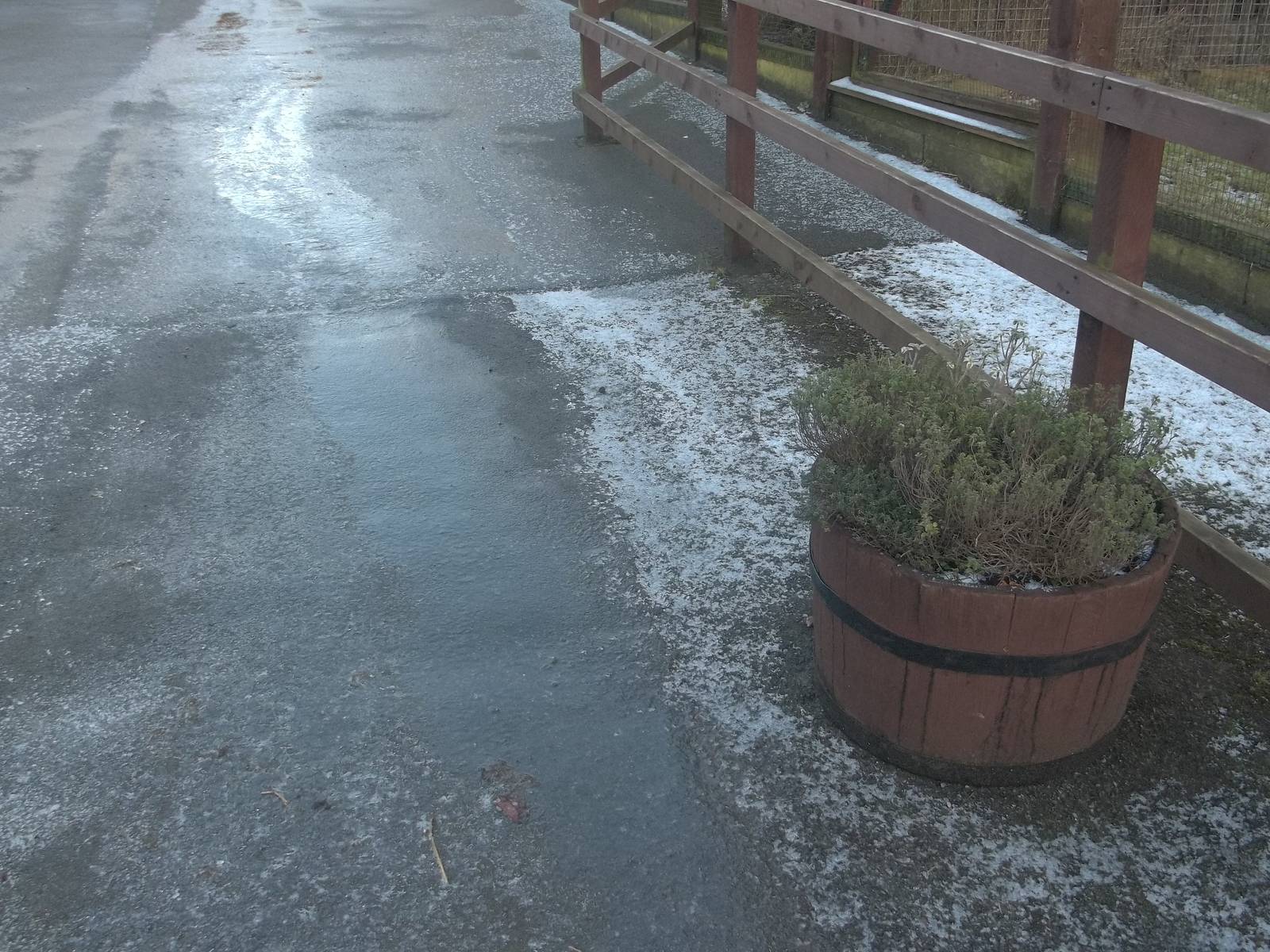 The winter sun does not reach here, 30th January 2015