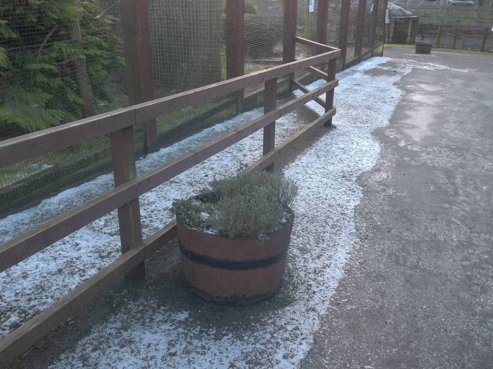 The winter sun does not reach here, 30th January 2015