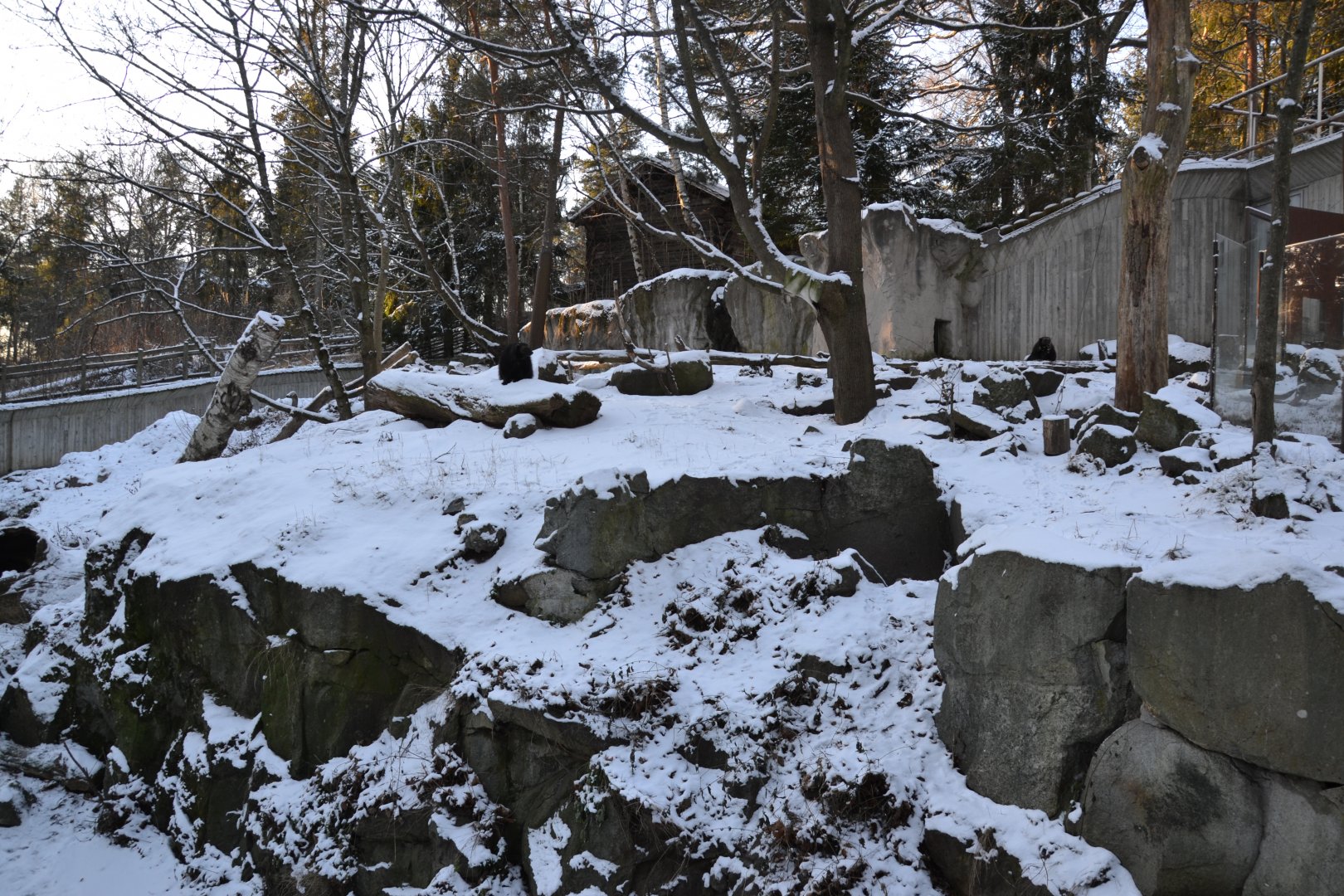 The wolverine enclosure at Skansen, Stockholm