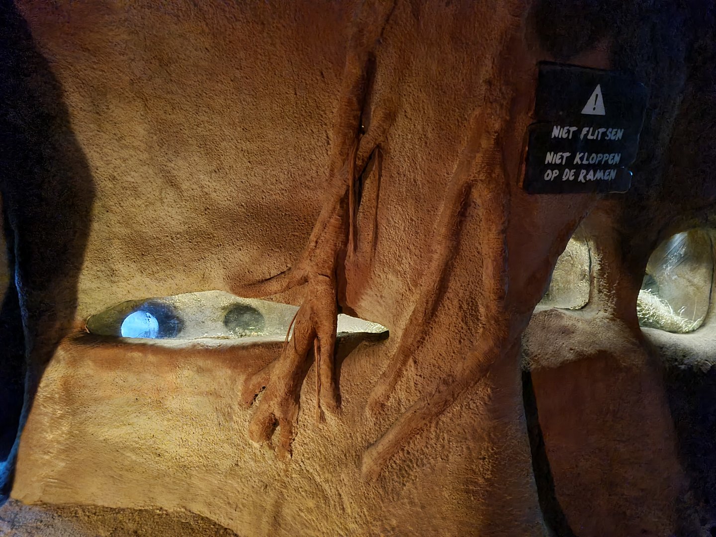 The Woods - Badger den