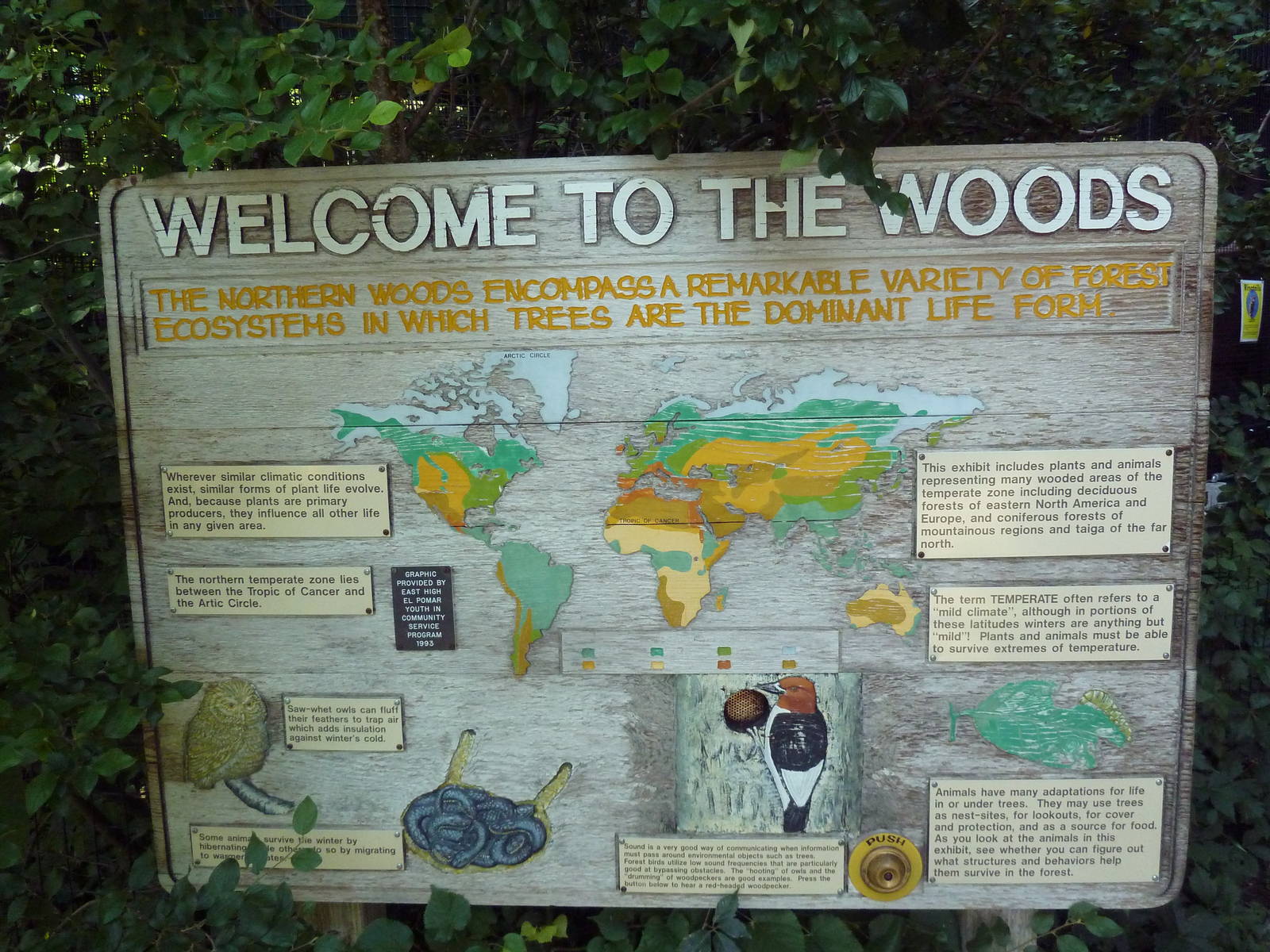 The Woods - Entrance Sign