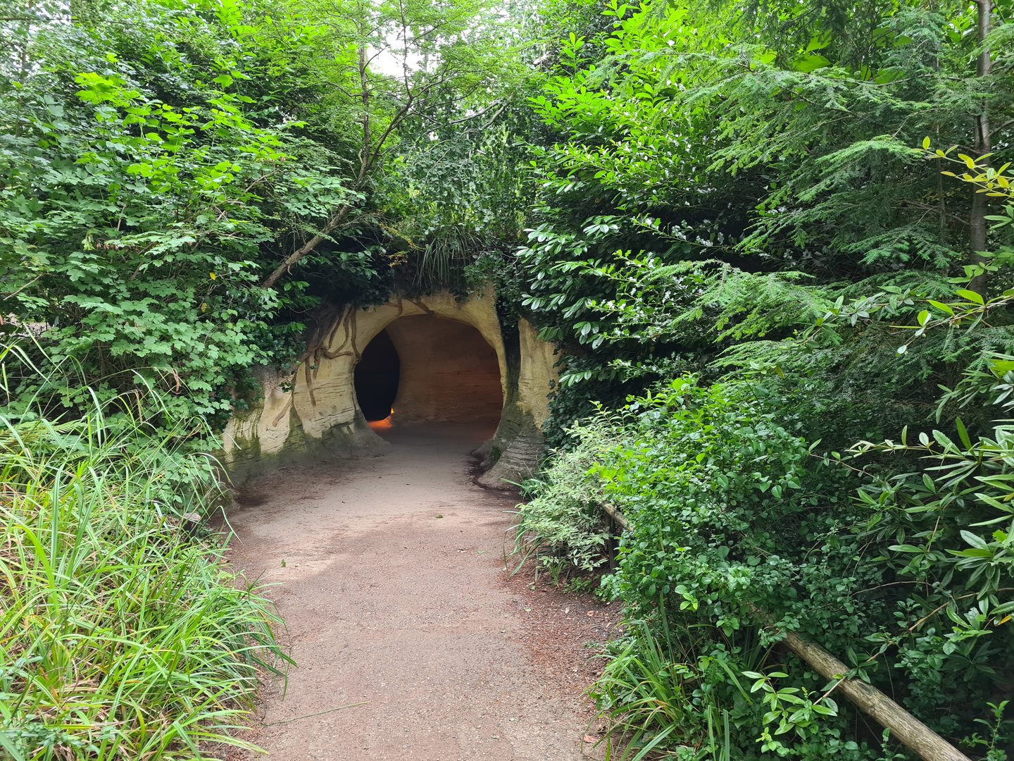 The Woods - Entrance to badger den