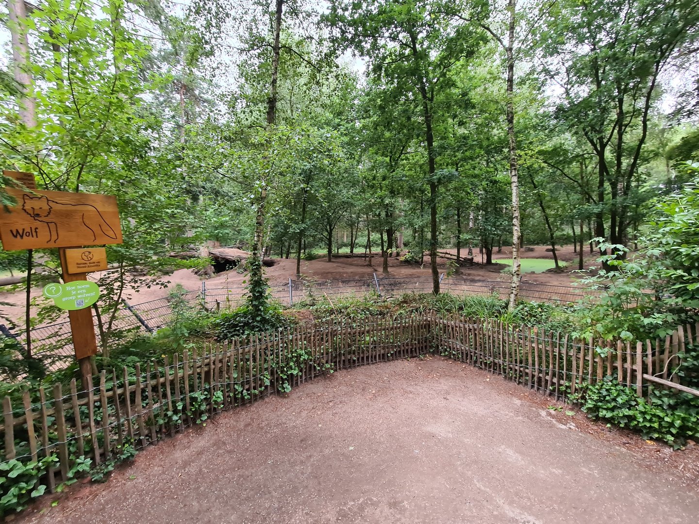 The Woods - Eurasian grey wolf enclosure