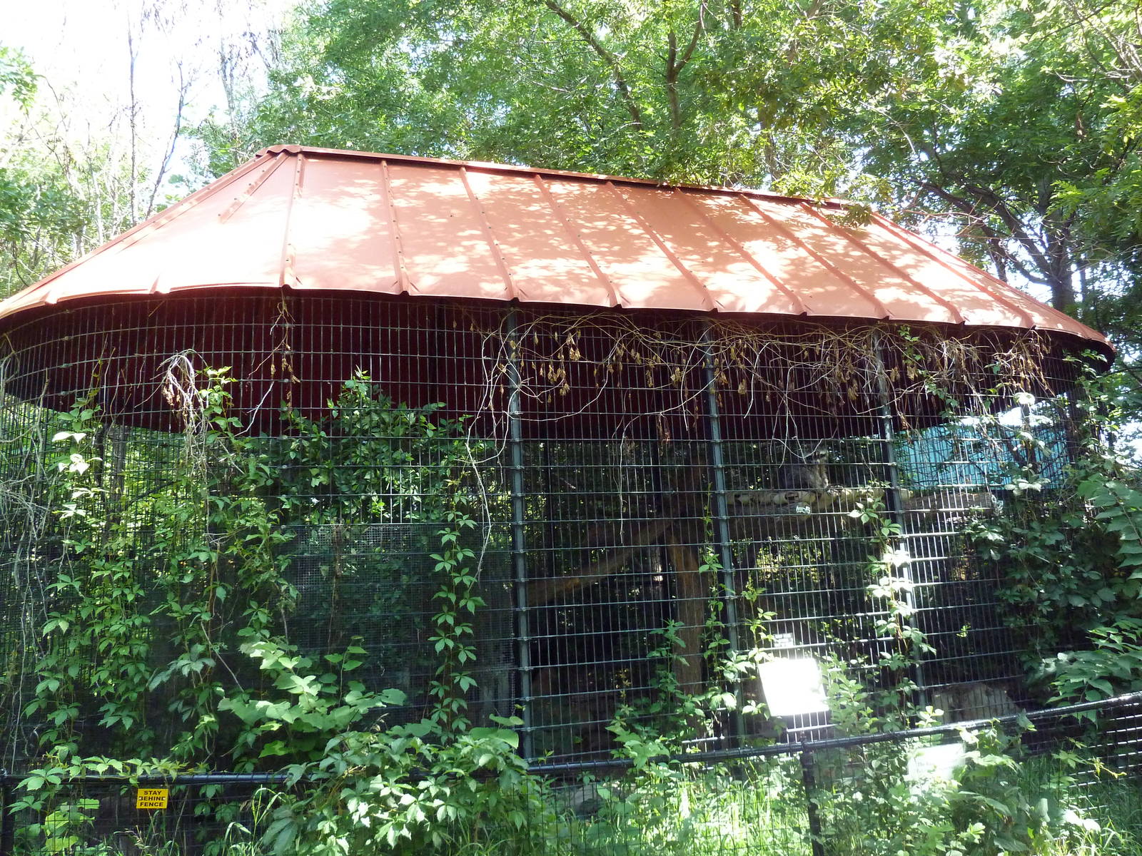 The Woods - Raccoon Exhibit