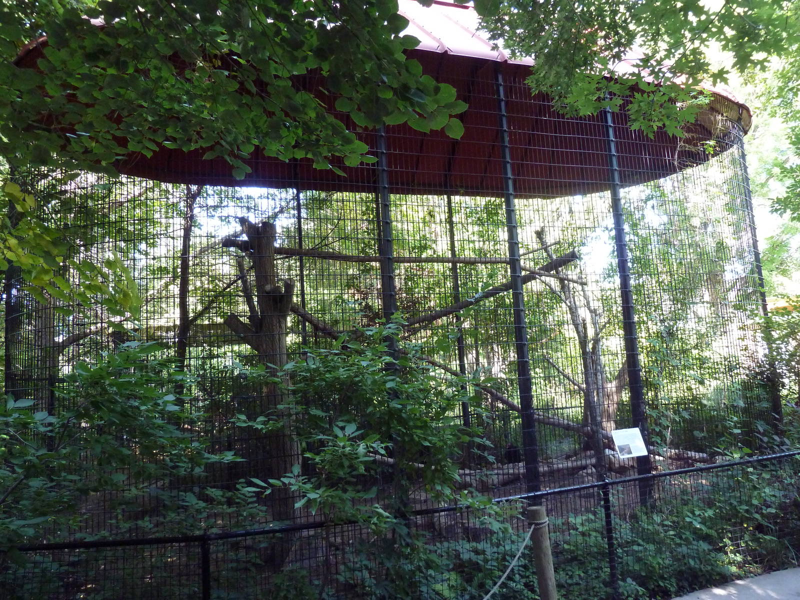 The Woods - Turkey Vulture Exhibit