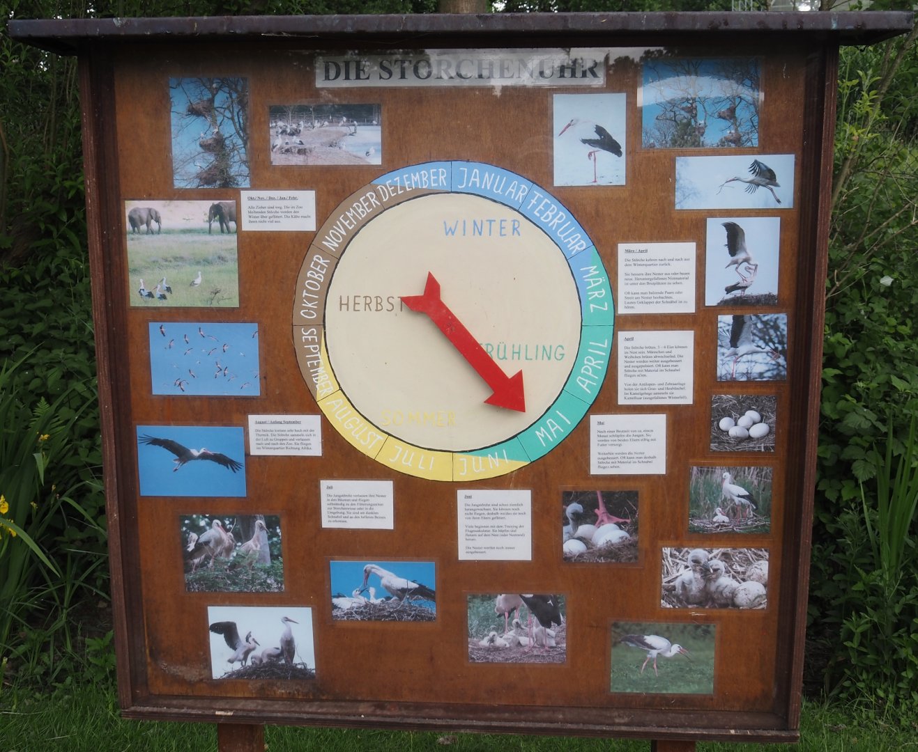 The year calendar of the European white stork signage, 2025-05-22