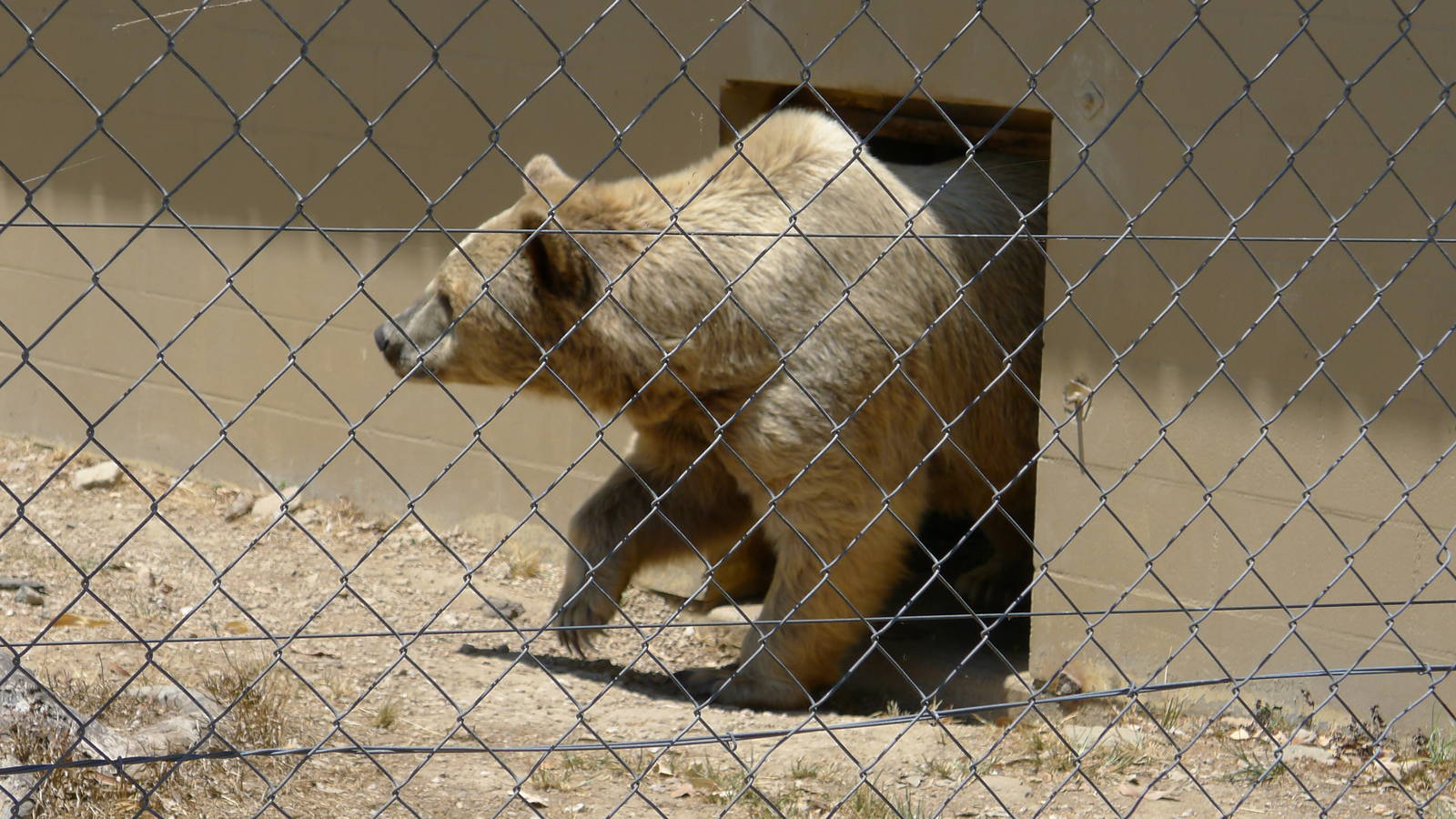 The younger siblings are let out