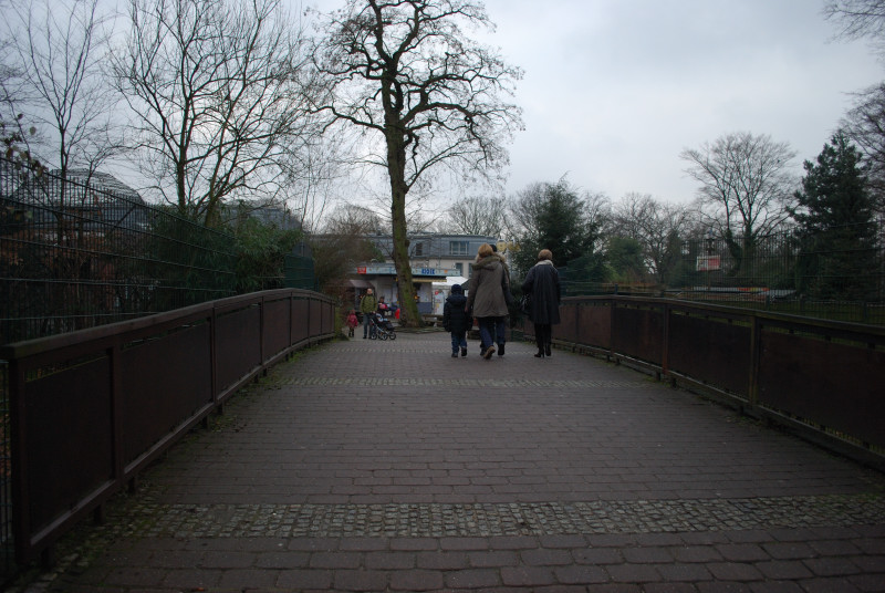 The zoo bridge