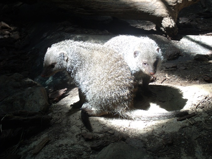 Their time in the spotlight