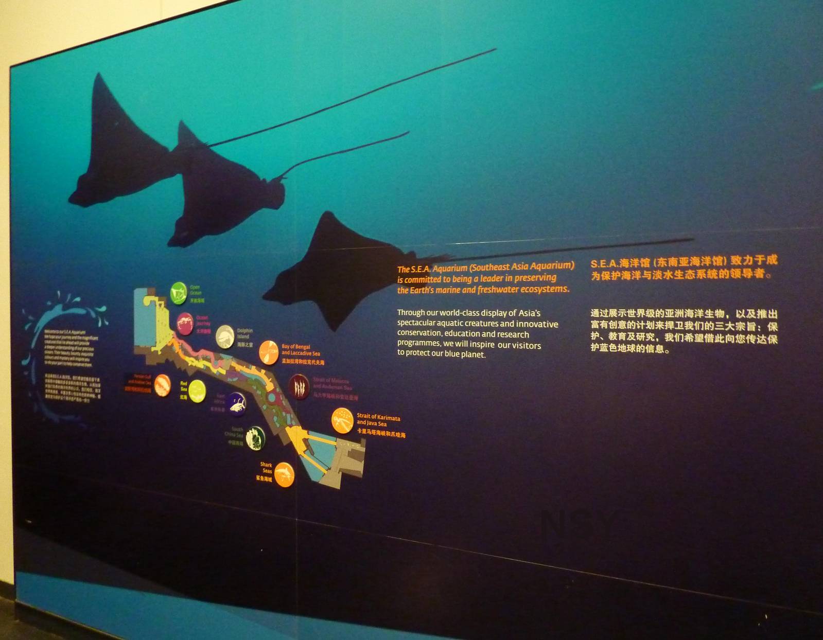 Thematic board, S.E.A. Aquarium, May 2013.