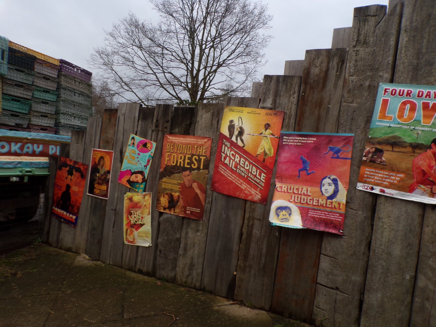 Themed Bollywood signs in LOTL  11.2.25