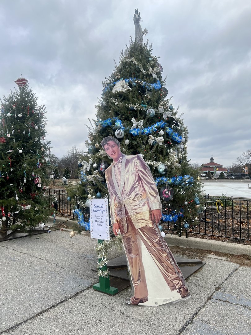 Themed Christmas Tree Display
