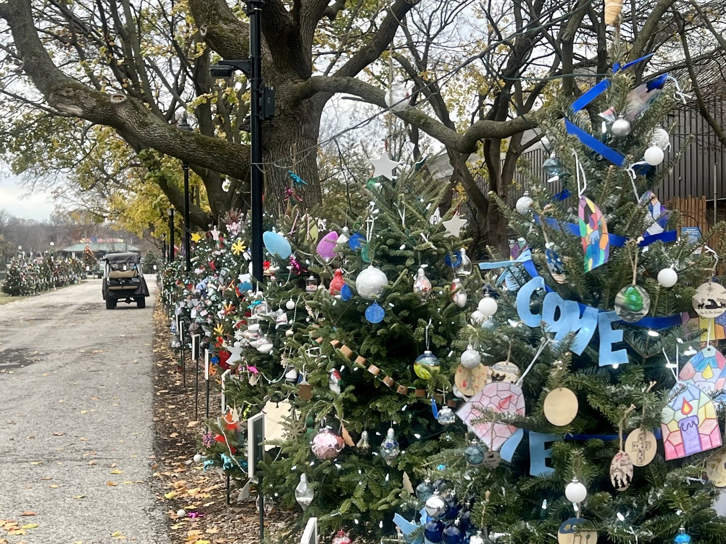 Themed Christmas Trees